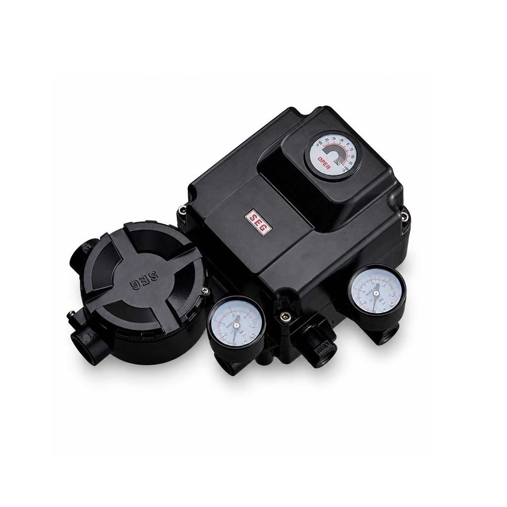 SEG Rotary Elektropnömatik Pozisyoner